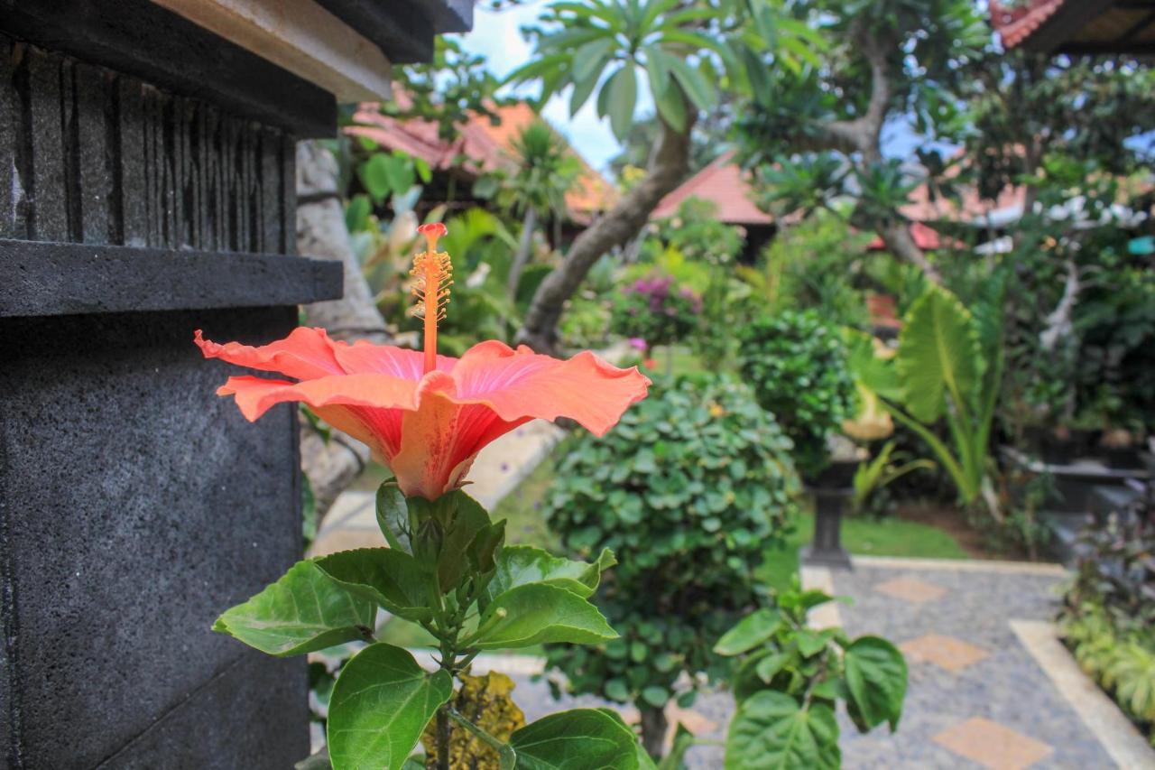 Pattri Garden Lembongan Hotel Nusa Lembongan  Exterior photo